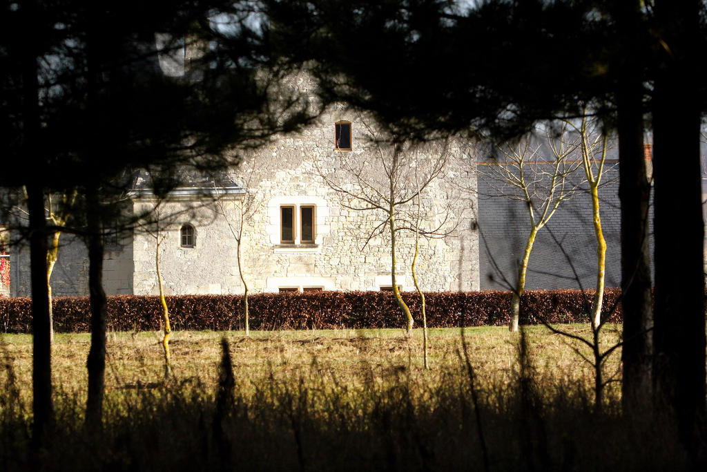 Bed and Breakfast Manoir Du Bois Noblet Louerre Exteriér fotografie