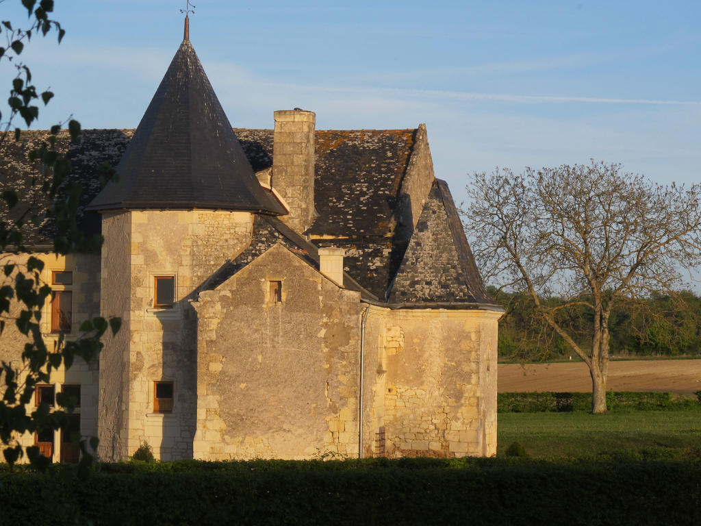 Bed and Breakfast Manoir Du Bois Noblet Louerre Exteriér fotografie